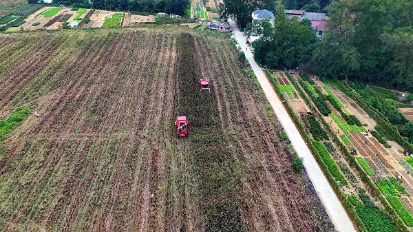 1ab0d861a4db489f907c780e310440ac.jpg 1ab0d861a4db489f907c780e310440ac.jpg