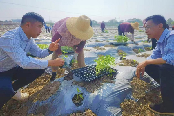 ca2e43b5b67a432bea490452b83ab35.jpg ca2e43b5b67a432bea490452b83ab35.jpg