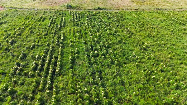 e9770e5334954d0ba53032f6a3d439b0.jpg e9770e5334954d0ba53032f6a3d439b0.jpg