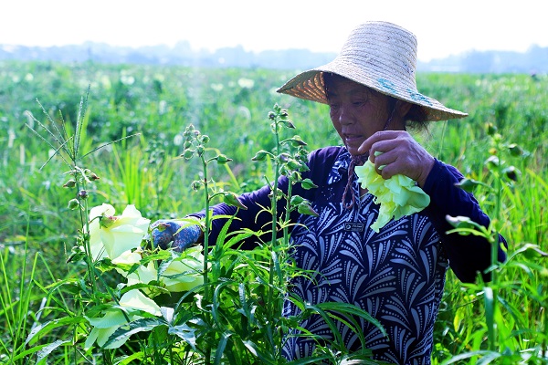 f47d830a331449399538478de994460c.jpg f47d830a331449399538478de994460c.jpg