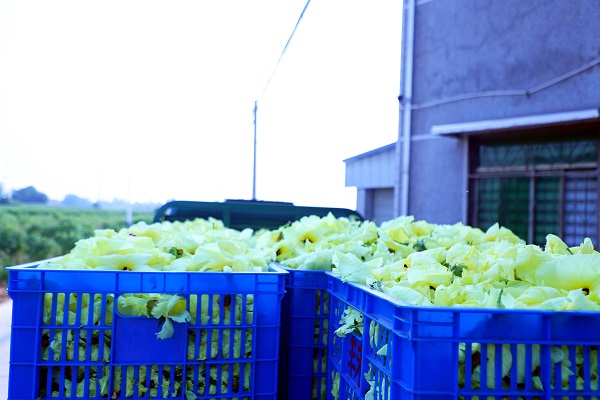 66464b6d380c4c7db130adb0233965bf.jpg 66464b6d380c4c7db130adb0233965bf.jpg