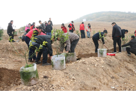 640 (1111111111111111).png